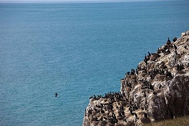 《地狱之刃2》还有11天就发售了 但销量连Steam前200都没有入围